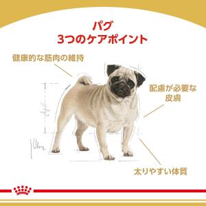 ロイヤルカナン パグ 成犬・高齢犬用 1.5k...の詳細画像2