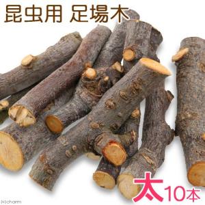 足場木　太　１０本１組　（昆虫用）　転倒防止