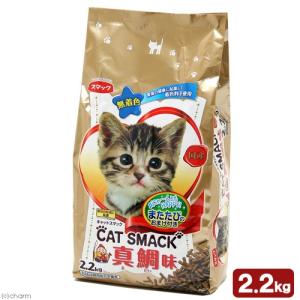 アウトレット品　スマック　キャットスマック　真鯛味　２．２ｋｇ　訳あり