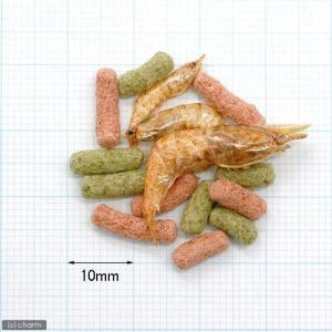 コメット カメサクッ 34g 餌 エサの詳細画像1