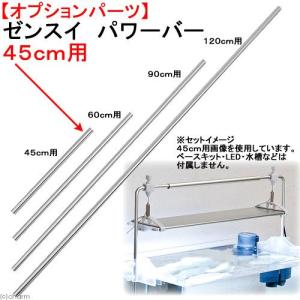 取寄せ商品　ゼンスイ　パワーバー　４５ｃｍ用　１本