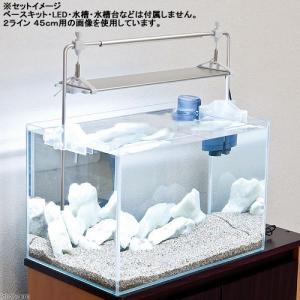 取寄せ商品 ゼンスイ パワーバー 60cm用 1本の詳細画像1