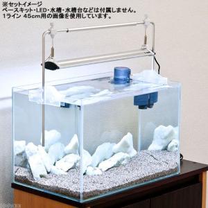 取寄せ商品 ゼンスイ パワーバー 60cm用 1本の詳細画像2