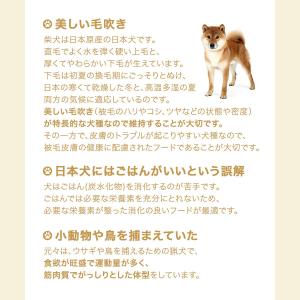ロイヤルカナン 柴犬 成犬用 8kg 3182...の詳細画像3