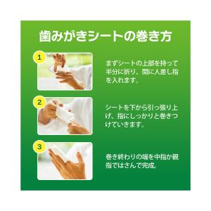 ライオン PETKISS 歯みがきシート 犬・...の詳細画像4