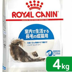 ロイヤルカナン　猫　インドア　ロングヘアー　成猫用　４ｋｇ　3182550739405　お一人様５点限り　ジップ付｜chanet