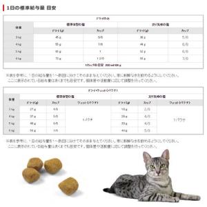 ロイヤルカナン 猫 インドア 7+ 1.5kg...の詳細画像3
