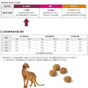 ロイヤルカナン 猫 アロマエクシジェント アロ...の詳細画像3