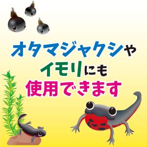 キョーリン ひかりウーパールーパー 大粒 30...の詳細画像3
