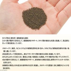 キョーリン ひかりタナゴ 200g お一人様5...の詳細画像1