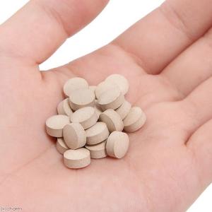 犬 サプリ DHC 愛犬用 おなか健康 60粒の詳細画像1