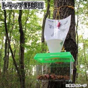 ミタニ　トラップ野郎　カブト虫　クワガタ虫　昆虫採集　虫取り