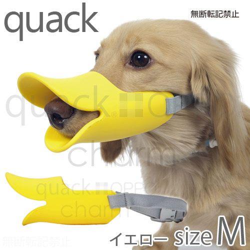 ＯＰＰＯ　ｑｕａｃｋクァック　Ｍ　イエロー　正規品　犬　口輪　ムダ吠え防止