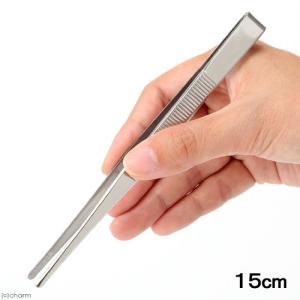 志賀昆虫　１５ｃｍ　ピンセット　採集用　昆虫　標本用品