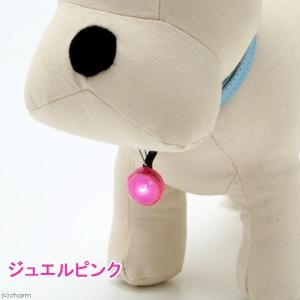 プラッツ　ＮＩＴＥ　ＩＺＥ　ペットリット　�