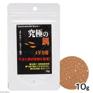 B−blast 究極の餌 メダカ用 10g めだか エサ 餌 えさ
