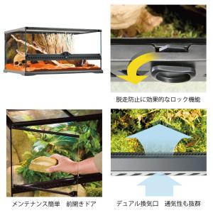 爬虫類ケージ GEX エキゾテラ グラステラリ...の詳細画像1