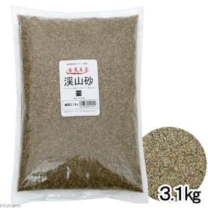 アクアシステム 金魚王子 渓山砂 細粒 3．1kg  底床 お一人様6点限り