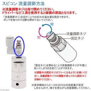 CO2フルセット チャームオリジナルコンパクト...の詳細画像2