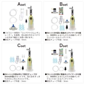 CO2フルセット チャームオリジナルコンパクト...の詳細画像5