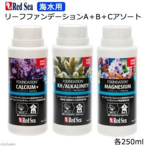 レッドシー　リーフファンデーションＡ＋Ｂ＋Ｃセット　サンゴ　成長　骨格｜チャーム charm ヤフー店