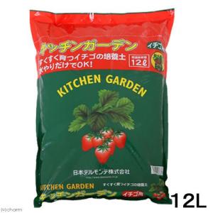 いちご苗ビックハニー３寸70個セット　専用出品！ いちご苗ビックハニー3寸70個セット 専用出品！ いちご苗ビックハニー3