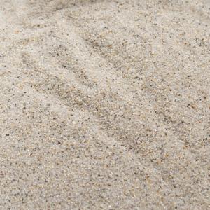 シンセー 津軽プレミアム 4kg お一人様4点限り : チャーム charm