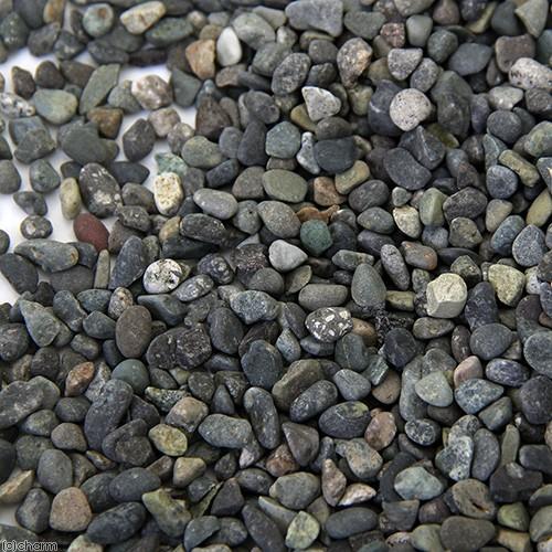 底砂　Ｎｏ．１６　大磯砂　ラージ　９リットル（約１５ｋｇ）　Ｃｌａｓｓｉｃ　６０ｃｍ水槽用　底床　水...