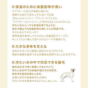 ロイヤルカナン ラブラドールレトリバー ステア...の詳細画像2