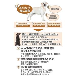 ロイヤルカナン ラブラドールレトリバー ステア...の詳細画像3
