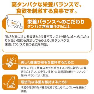 ロイヤルカナン 猫 プロテインエクシジェント ...の詳細画像2