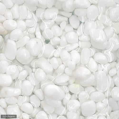 Ｎｏ．９４　Ｗｈｉｔｅ　Ｓｔｏｎｅ（ホワイトストーン）　ラージ　３リットル（３０ｃｍ水槽用）　お一人...