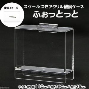 Leaf Corp 爬虫類ケージ ブリードボックス Sサイズ ホワイト 19