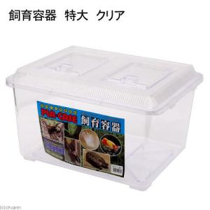 飼育容器　特大　クリア（幅４３×奥行き３４×高さ２６ｃｍ）　プラケース　虫かご　昆虫　メダカ　ザリガニ　両生類