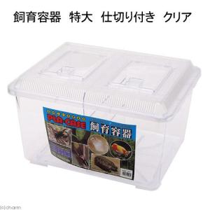 プラケース 飼育容器 スーパー特大 クリア 仕切り付き 仕切りスライド