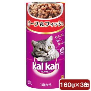 カルカン　ハンディ缶　１歳から　ビーフ＆フィッシュ　１６０ｇ×３Ｐ　キャットフード　成猫用｜chanet