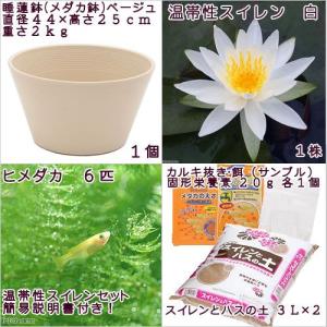 (ビオトープ)(めだか)初心者向け 睡蓮鉢で育...の詳細画像1