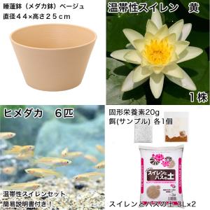 (ビオトープ)(めだか)プロが考えた睡蓮鉢で育...の詳細画像1