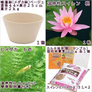 (ビオトープ)(めだか)初心者向け 睡蓮鉢で育...の詳細画像1