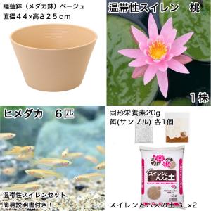 (ビオトープ)(めだか)初心者向け 睡蓮鉢で育...の詳細画像1