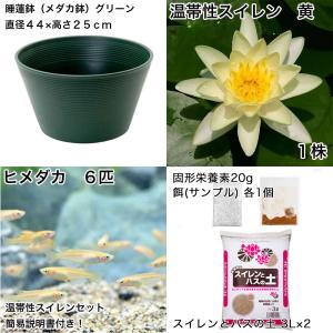 (ビオトープ)(めだか)初心者向け 睡蓮鉢で育...の詳細画像1