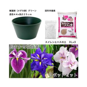 (ビオトープ)初心者向け プロが考えた睡蓮鉢で...の詳細画像1