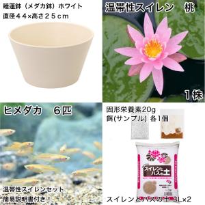 (ビオトープ)(めだか)初心者向け 睡蓮鉢で育...の詳細画像1