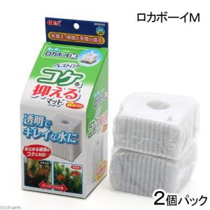アウトレット品　ＧＥＸ　ロカボーイＭ　ベストロカ　コケを抑えるマット２個入り　交換用　訳あり
