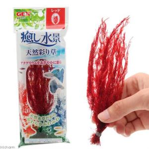 GEX 癒し水景 天然彩り草 レッド 人工水草 水槽用オブジェ アクアリウム用品