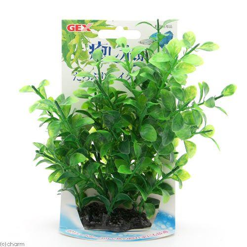 ＧＥＸ　癒し水景　たっぷりハイグロフィラ　人工水草
