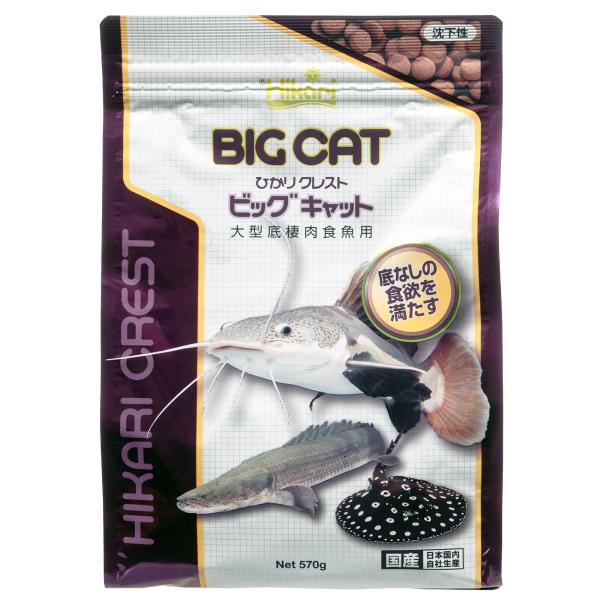 キョーリン　ひかりクレスト　ビッグキャット　５７０ｇ　大型魚　アロワナ　餌　エサ　えさ　お一人様１２...