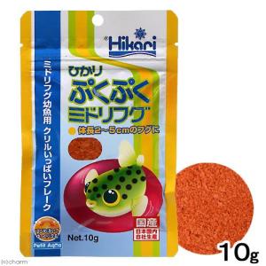 キョーリン　ひかりぷくぷくミドリフグ　１０ｇ　ふぐ　餌　エサ　えさ　お一人様４８点限り｜chanet