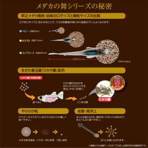 キョーリン メダカの舞 ベビー 40g メダカ...の詳細画像5