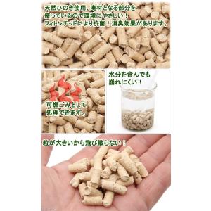 猫砂 お一人様7点限り 天然ひのきチップ 4Lの詳細画像1